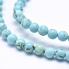 Natural Howlite Beads Strands X-TURQ-G148-07-6mm-3