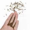 12/0 FGB Grade A Round Glass Seed Beads SEED-N001-A-1038-4