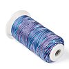 Segment Dyed Round Polyester Sewing Thread OCOR-Z001-B-05-2