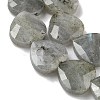 Natural Labradorite Beads Strands G-A309-A09-01-3