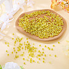 Picasso Baking Paint Glass Seed Beads SEED-TA0001-62D-4