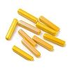 Electroplate Glass Beads GLAA-D024-01B-2