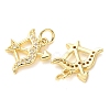 Brass Micro Pave Clear Cubic Zirconia Pendants LS-CU-E003-14G-A-2