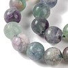 Natural Fluorite Beads Strands G-P530-B04-05-3