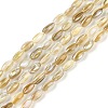 Natural Freshwater Shell Beads Strands BSHE-G036-03-1