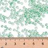 8/0 Glass Seed Beads SEED-A015-3mm-2218-4