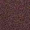 MIYUKI Round Rocailles Beads SEED-X0055-RR0301-3