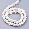 Natural Sea Shell Beads Strands X-BSHE-K012-08E-2