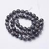 Natural Larvikite Beads Strands GSR8mmC128-3