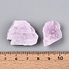 Natural Kunzite Display Decorations G-N347-11A-4