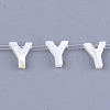 Natural Sea Shell Beads SHEL-T012-60Y-1
