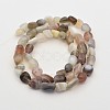 Natural Botswana Agate Bead Strands G-P070-52-2