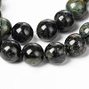 Natural Kambaba Jasper Beads Strands G-M172-8mm-01-1