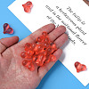 Transparent Acrylic Beads MACR-S373-70-B06-3