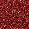 MIYUKI Delica Beads SEED-X0054-DB2159-3