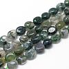 Natural Moss Agate Beads Strands G-R445-8x10-01-1