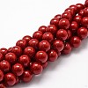 Shell Pearl Beads Strands X-BSHE-L026-01-8mm-1