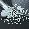 6/0 Opaque Glass Seed Beads SEED-YW0002-13N-6