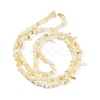 Natural Freshwater Shell Beads Strands BSHE-G036-02-2