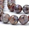 Natural Pietersite Beads Strands G-R446-6mm-13-3