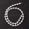 Natural Trochid Shell/Trochus Shell Beads SSHEL-O0001-22B-2