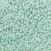 TOHO Round Seed Beads SEED-TR11-PF2118-2