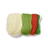Watermelon Needle Felting Kit DIY-I091-01-3