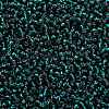 TOHO 11/0 Round Beads SEED-TR11-0027BD-2