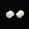 Natural Trochid Shell/Trochus Shell Beads SSHEL-T014-32-3