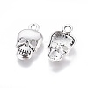 Tibetan Style Alloy Pendants LS-TIBEP-K585-AS-NR-1
