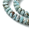 Natural Larimar Beads Strands G-H004-A01-01-4