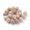 Natural Sunstone Beads Strands G-G099-10mm-14-2