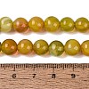 Imitation Lamowork Glass Beads Strands GLAA-Q106-07A-16-4