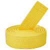 Taekwondo Belt AJEW-WH20022-73B-03-1