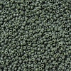 MIYUKI Round Rocailles Beads X-SEED-G007-RR0501-3