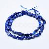 Natural Lapis Lazuli Beads Strands G-K203-18-2