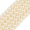 Glass Pearl Beads Strands HY-G002-01C-02-1
