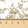 Electroplate Glass Seed Beads SEED-S042-01B-11-4