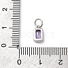 925 Sterling Silver Cubic Zirconia Charms STER-NH0014-01P-02-3