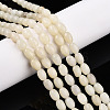 Natural White African Opal Beads Strands G-N346-02B-10-1