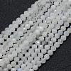 Natural Rainbow Moonstone Beads Strands G-E411-08-4mm-1
