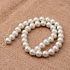 Polished Round Grade A Shell Pearl Bead Strands BSHE-M027-12mm-27-2