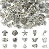 Tibetan Style Alloy Beads FIND-YW0005-04-1