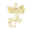Alloy Pendants FIND-K018-02G-1