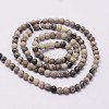 Natural Polychrome Jasper/Picasso Stone/Picasso Jasper Beads Strands G-N0191-01-2mm-2