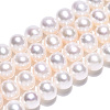 Natural Cultured Freshwater Pearl Beads Strands PEAR-N016-05A-2