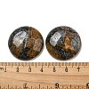 Natural Glaucophane Cabochons G-C115-02B-16-3