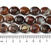 Natural Brecciated Jasper Beads Strands G-K365-B20-03-5