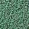 TOHO Round Seed Beads SEED-JPTR08-PF0561-2