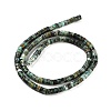 Natural African Turquoise(Jasper) Beads Strands X-G-A220-B03-01-3